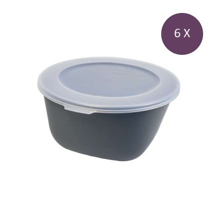 6 boîtes avec couvercle 1 litre